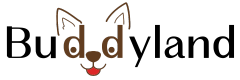 zingye.com