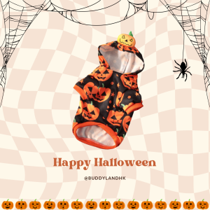 萬聖節南瓜衛衣 Halloween pumpkin hoodie (G002 c021)