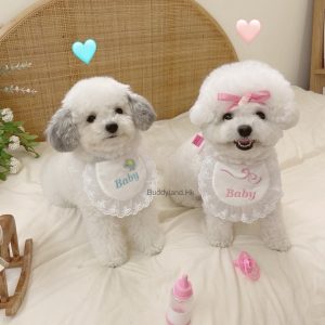 寶貝圍巾+蝴蝶結 “Baby”scarf with ribbon clip (T001 s012)